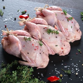 Quail whole - four birds