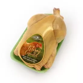 Yellow baby chicken Spain
