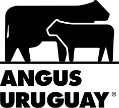 Angus Urugwaj