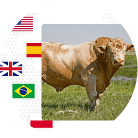 We offer the widest range of premium meats from around the world